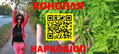 индика Тулун