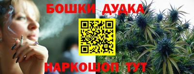 индика Тулун